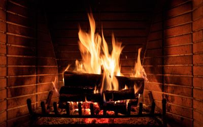 Create a Cozy and Inviting Atmosphere with a New Wood Burning Fireplace!